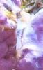 post-3968-0-58564300-1389633245_thumb.jpg
