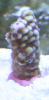 post-1805-0-45530500-1305933483_thumb.jpg