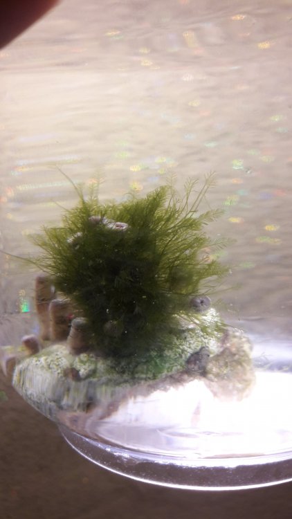 20170918_122726.jpg