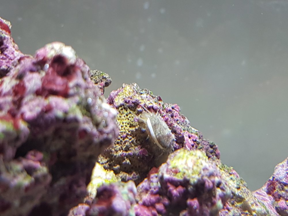 20171128_194813.jpg