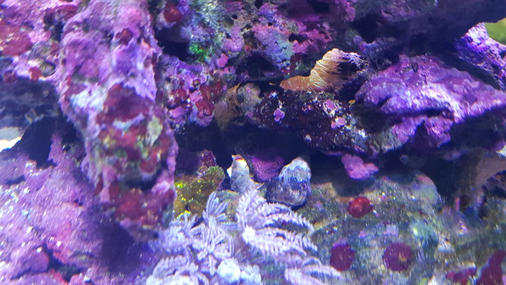 20180615_200822.jpg