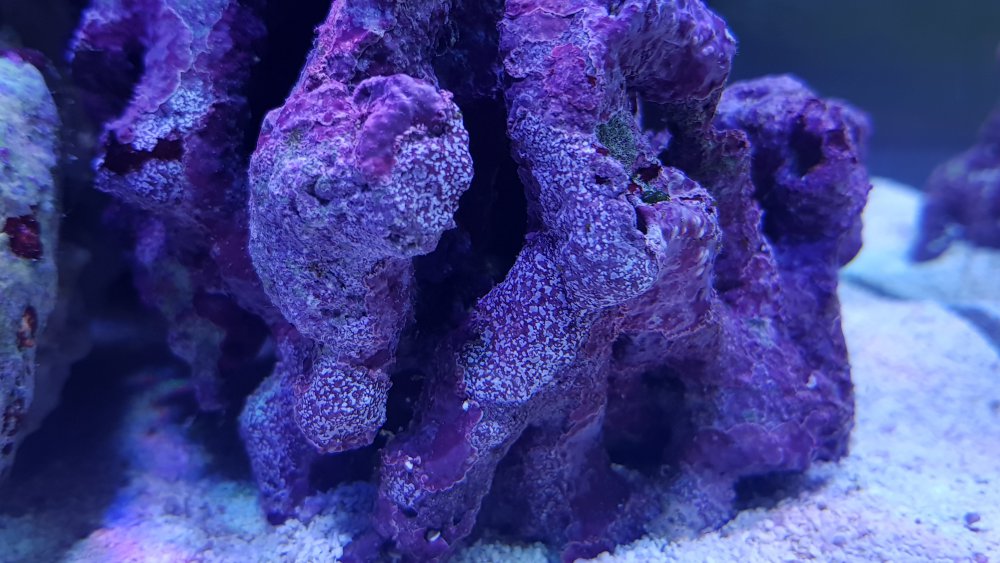 20180615_201715.jpg