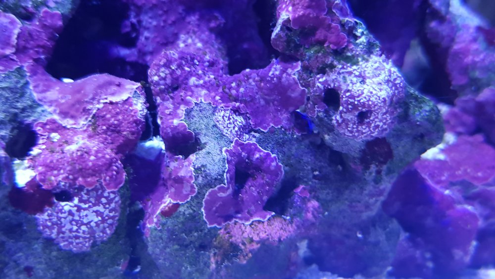 20180615_201940.jpg