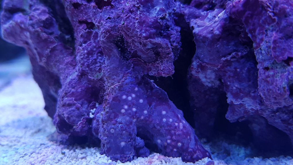 20180615_201946.jpg
