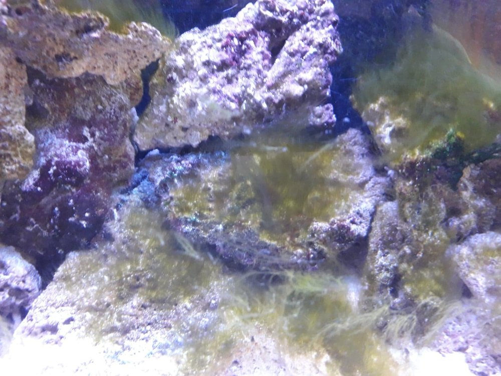 50265709_2450587051877055_3299347452485697536_n (1).jpg