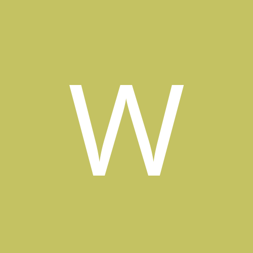 Wiolka