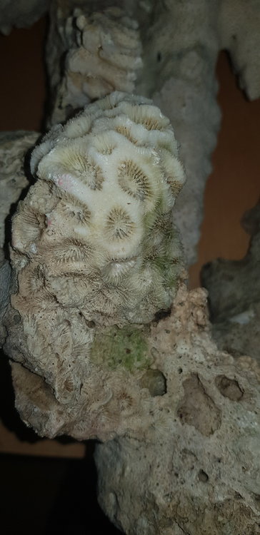 20190117_184745.jpg