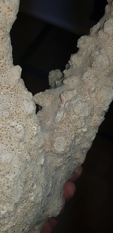 20190117_185026.jpg