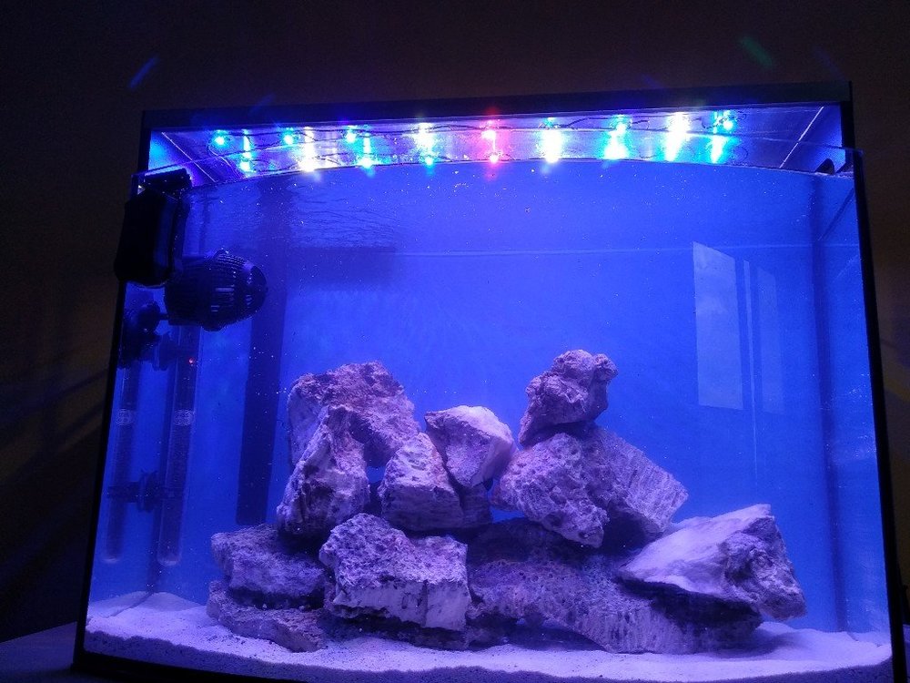 IMG_20190810_175641 (1)-1024x768.jpg