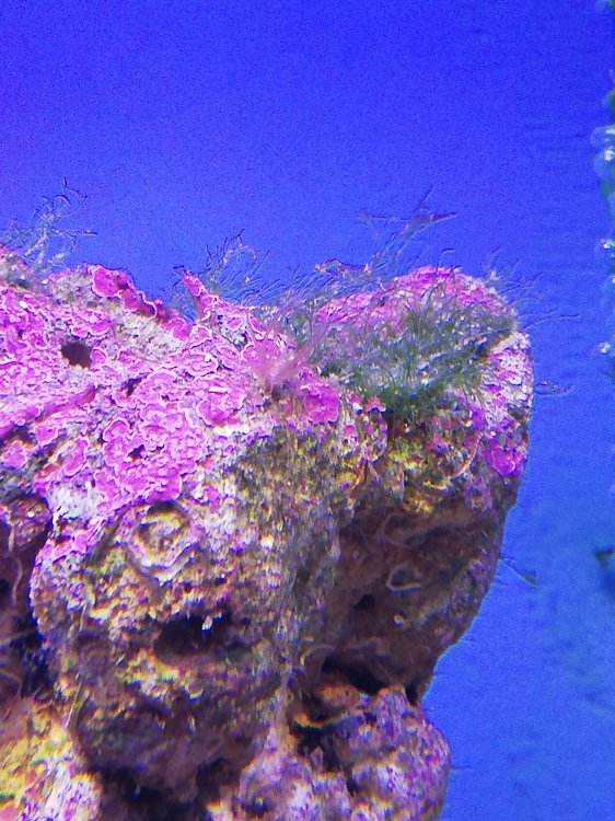 IMG_20200530_201437.jpg