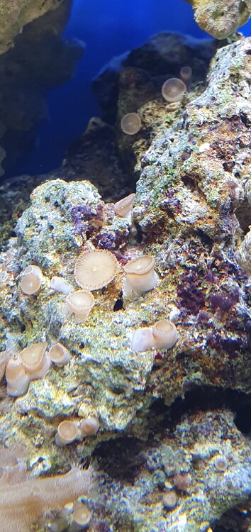 20201201_115734.jpg