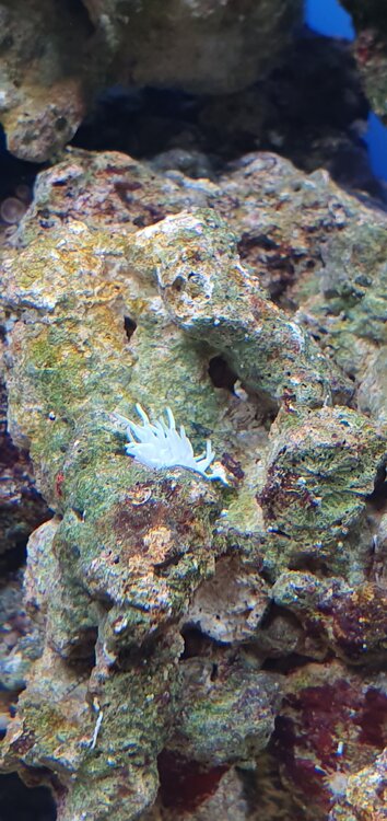 20201201_115801.jpg