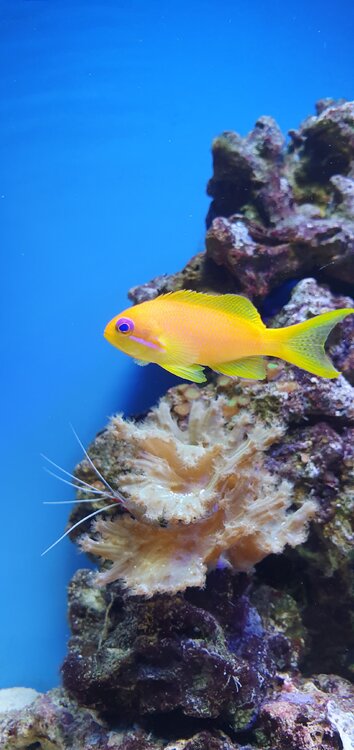 20201221_120519.jpg