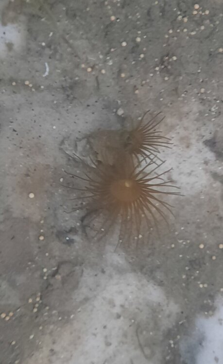 20201229_185839.jpg