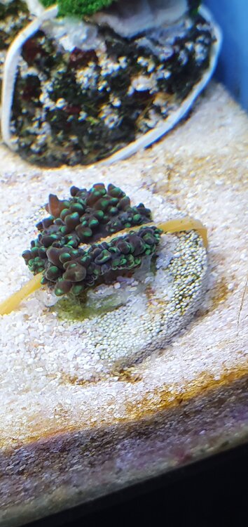 20210119_141736.jpg