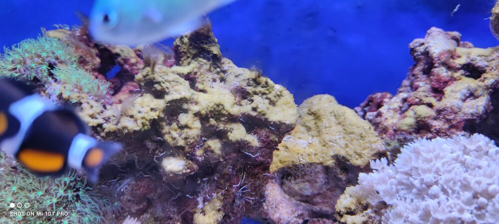 IMG_20210318_202546.jpg
