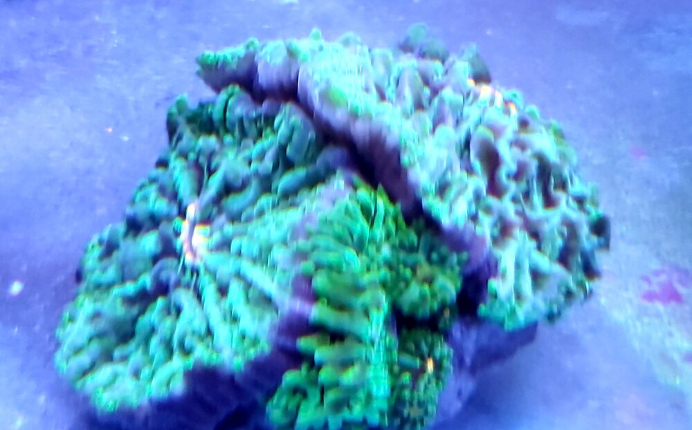 20211114_201348.jpg