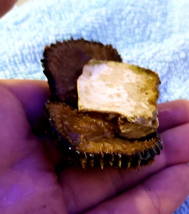 20211114_201456.jpg