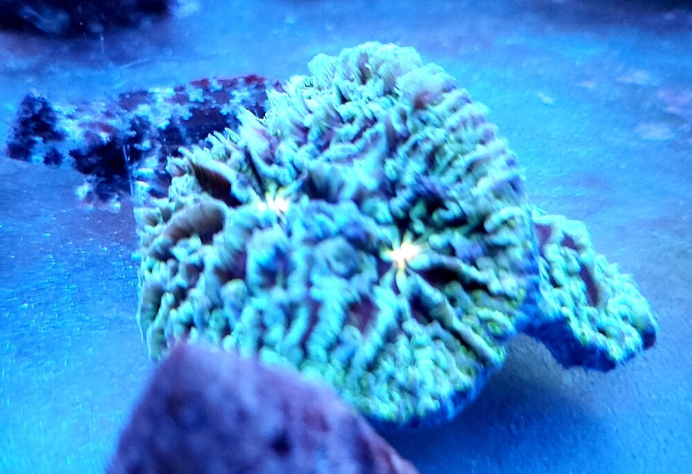 20211114_201647.jpg