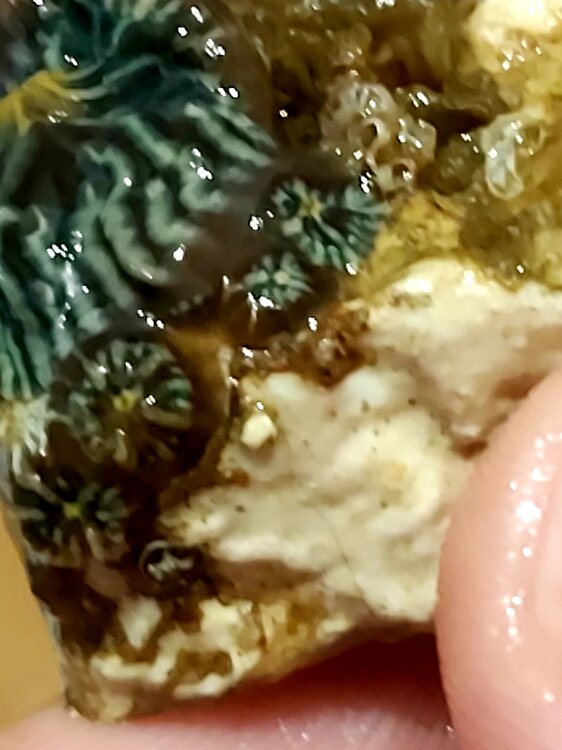 20220221_093621.jpg