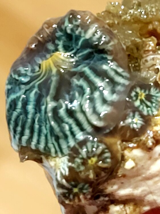 20220221_093626.jpg