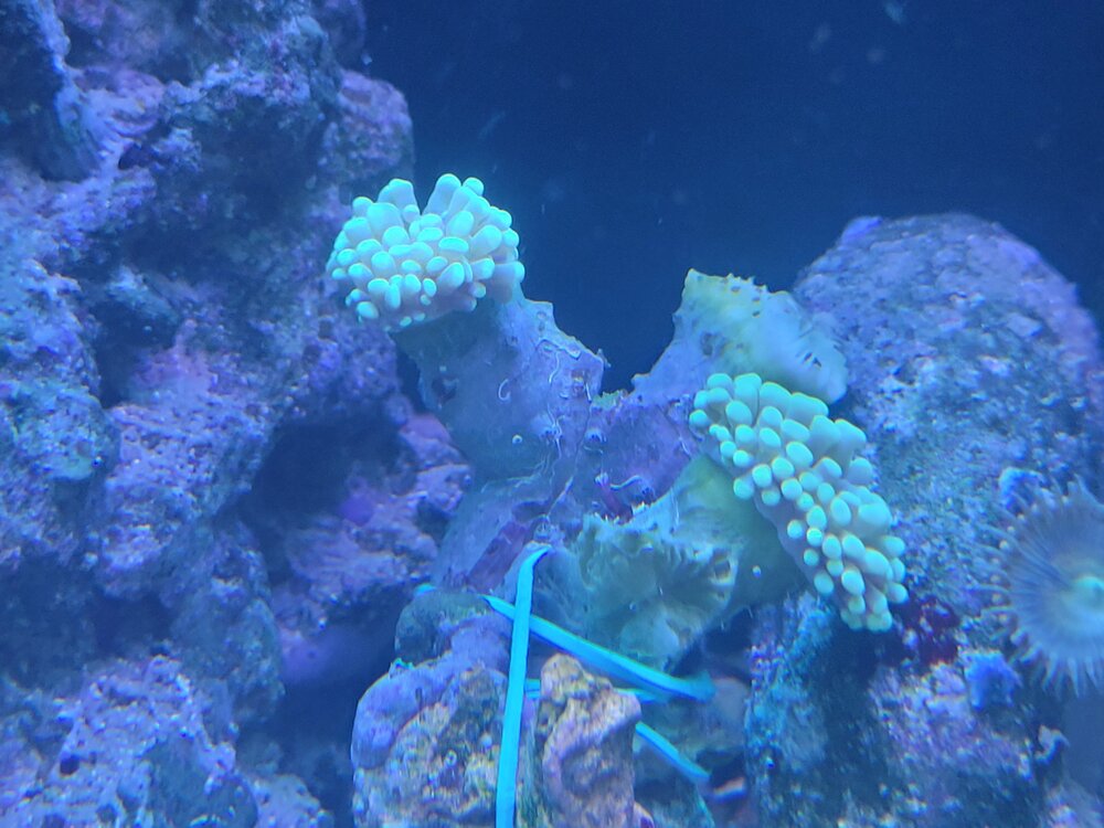 20220803_064021.jpg